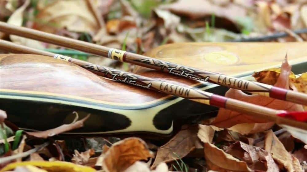 Easton Axis Traditional Carbon Shaft - Image 2