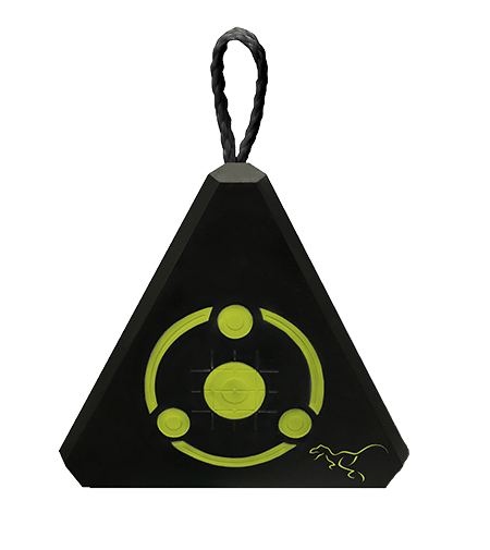 Rinehart Targets Pyramid - Blemished