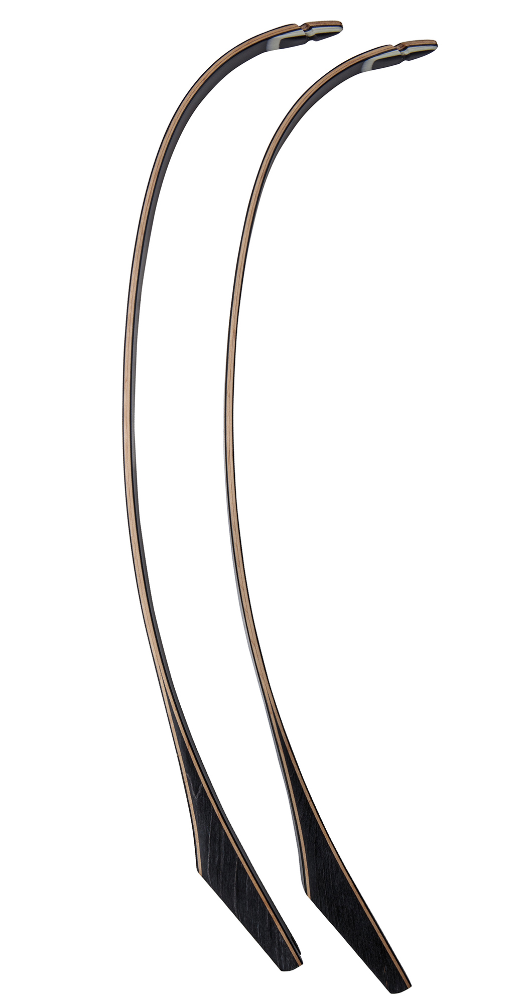 Bear Takedown Recurve Limbs - #1, #2, #3 - Image 2