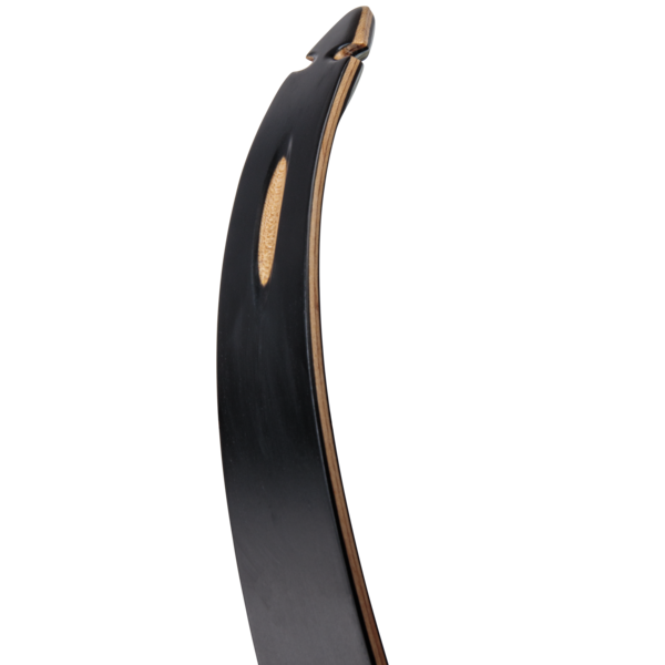 Bear Takedown Recurve Limbs - #1, #2, #3 - Image 5