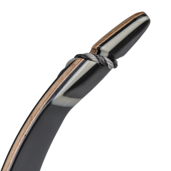 Bear Takedown Recurve Limbs - #1, #2, #3 - Image 6