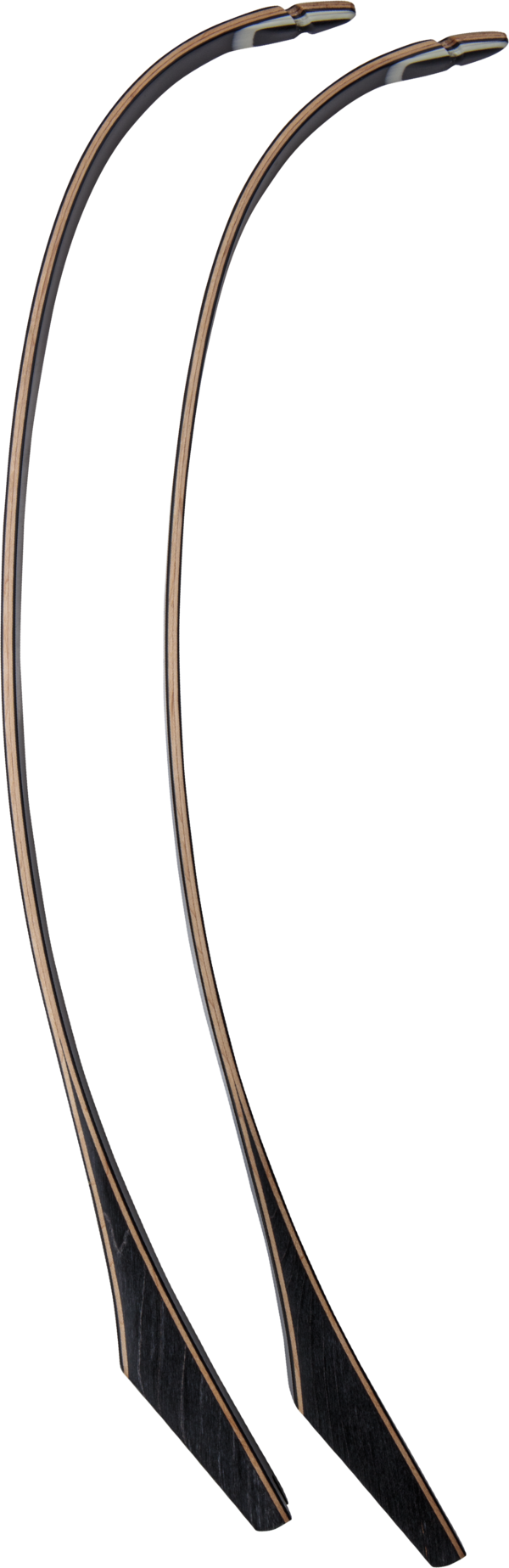 Bear Takedown Recurve Limbs - #1, #2, #3 - Image 10