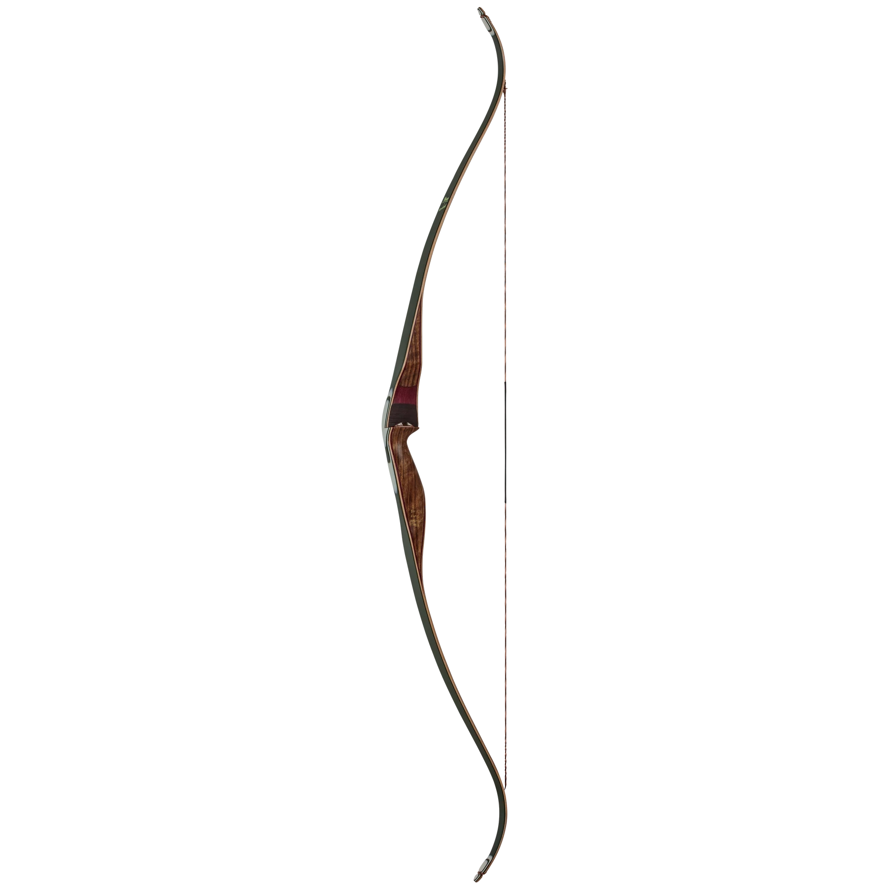 Bear Archery '59 KODIAK Recurve – NEW - Image 3