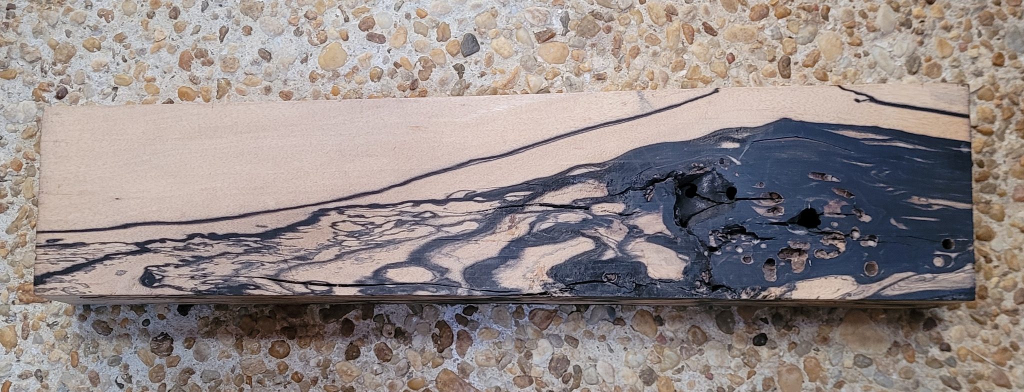 Black and White Ebony (Diospyros malabarica)