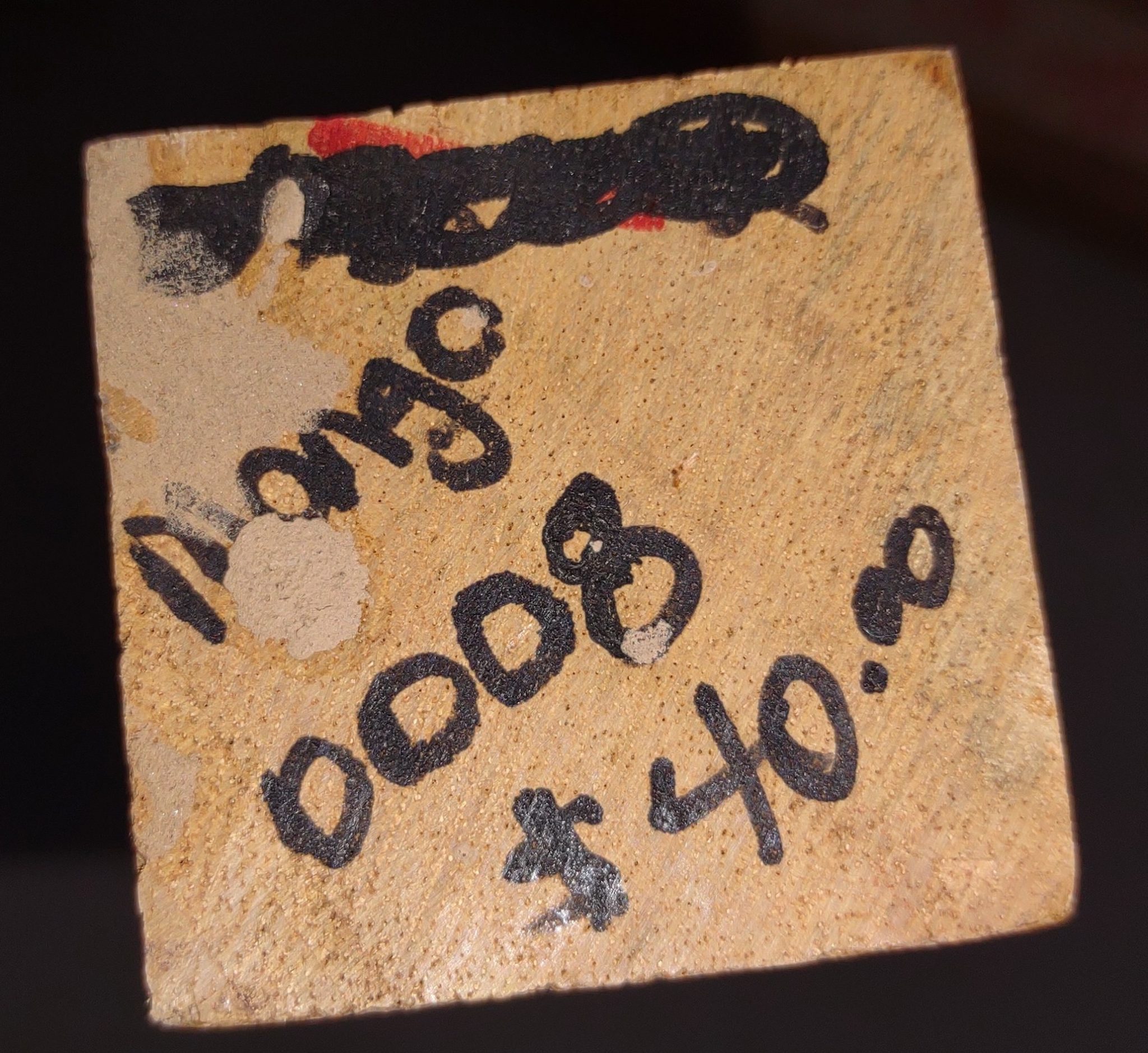 Mango (Hawaiian mango) - Mangifera Indica - Image 3