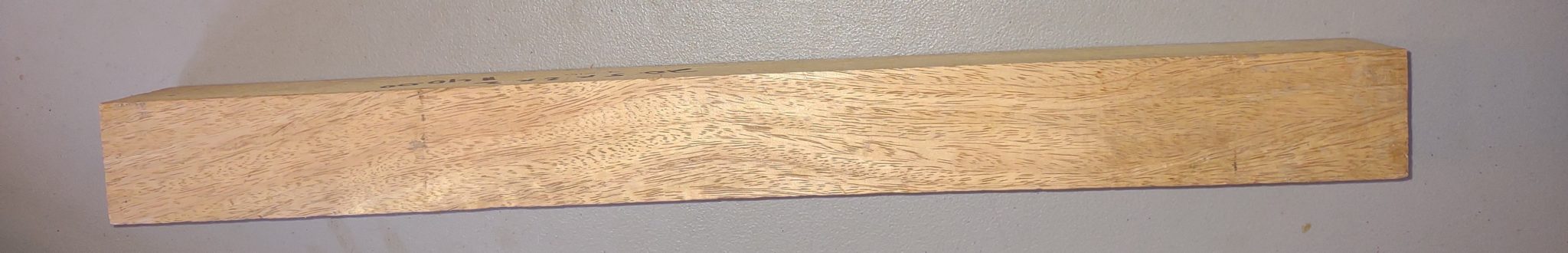 Mango (Hawaiian mango) - Mangifera Indica