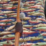 "LULLULA" RAVENBEAK LONGBOW RH USED  55#@28" (GREAT CONDITION) RLB2348 $595