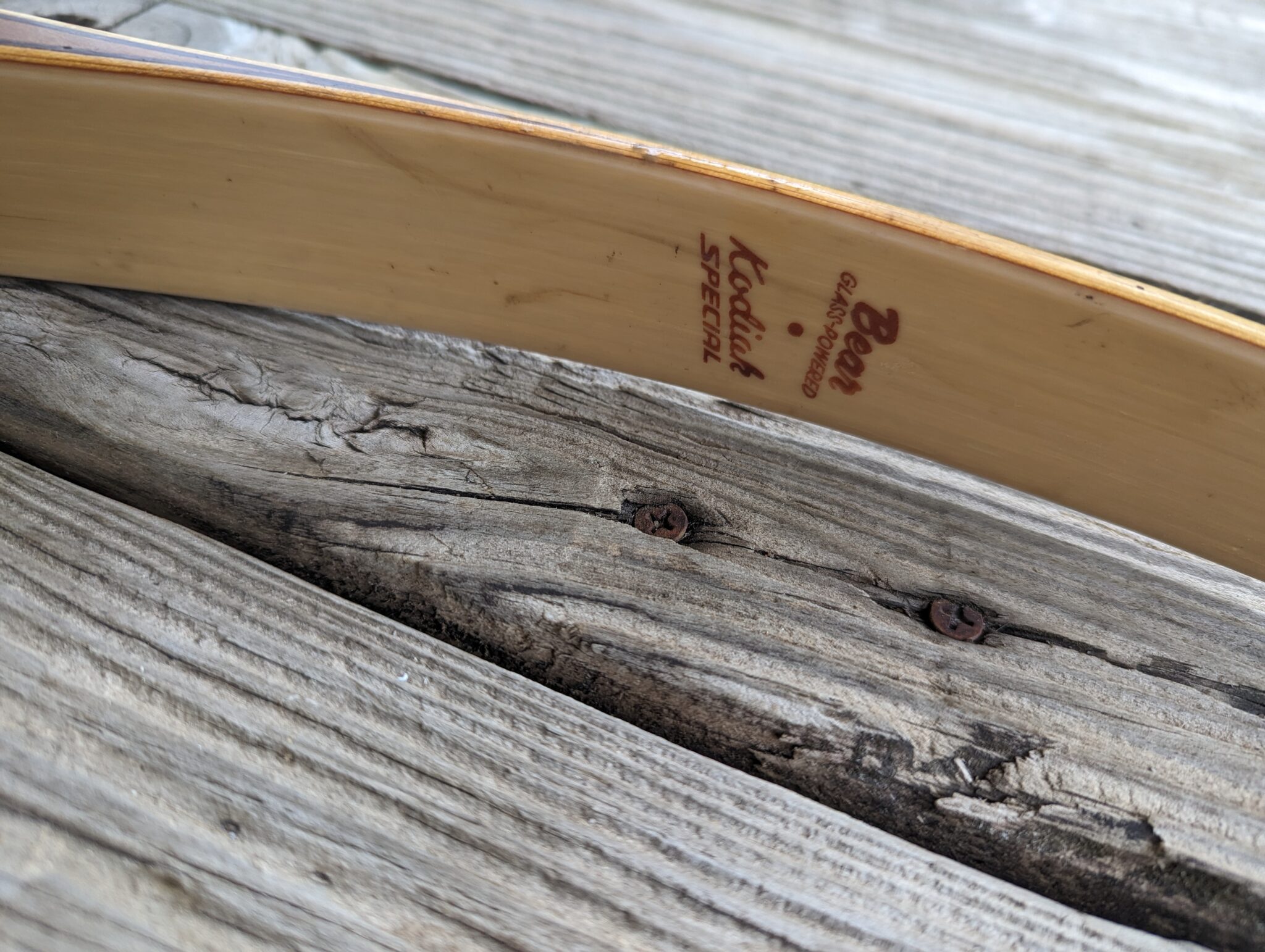 Bear "Kodiak Special" -USED- Right hand recurve - 43#@28" - Image 6