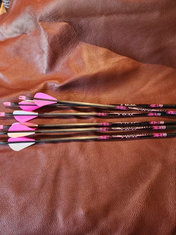 ION PINK 600 2XP - 1 DOZEN
