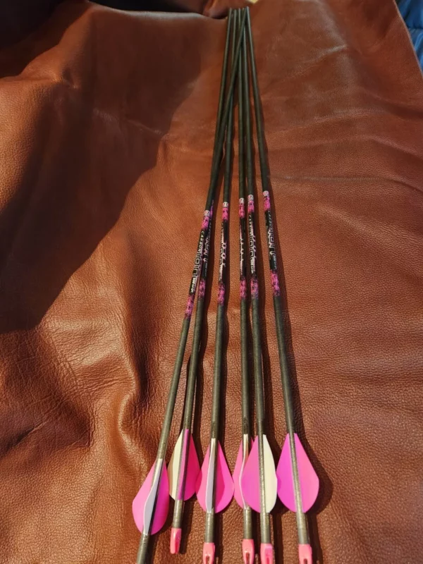 ION PINK 600 2XP - 1 DOZEN - Image 3