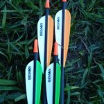 ICS BOWHTR 500 4DV HG