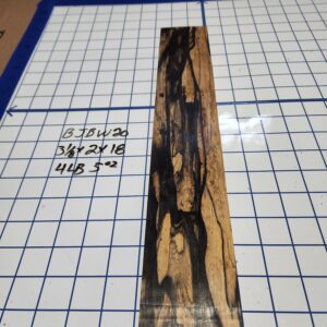 BLACK AND WHITE EBONY RISER BLOCK