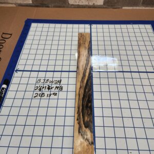 BLACK AND WHITE EBONY RISER BLOCK