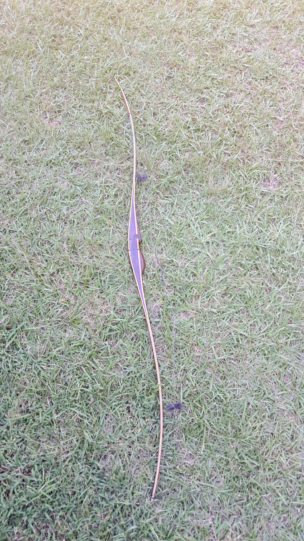 Tolke Whip 48#@28 RLB2908 - Image 6