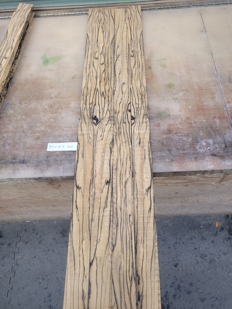 Black And White Ebony Veneers BWV5
