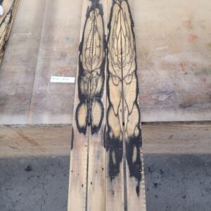 Black And White Ebony Veneers BWV7