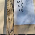 Black And White Ebony Riser Block BW05