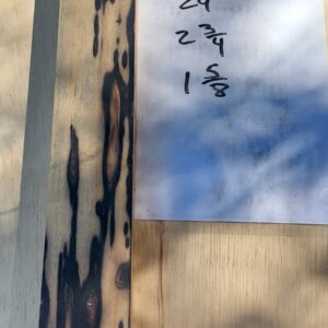 Black And White Ebony Riser Block BW20